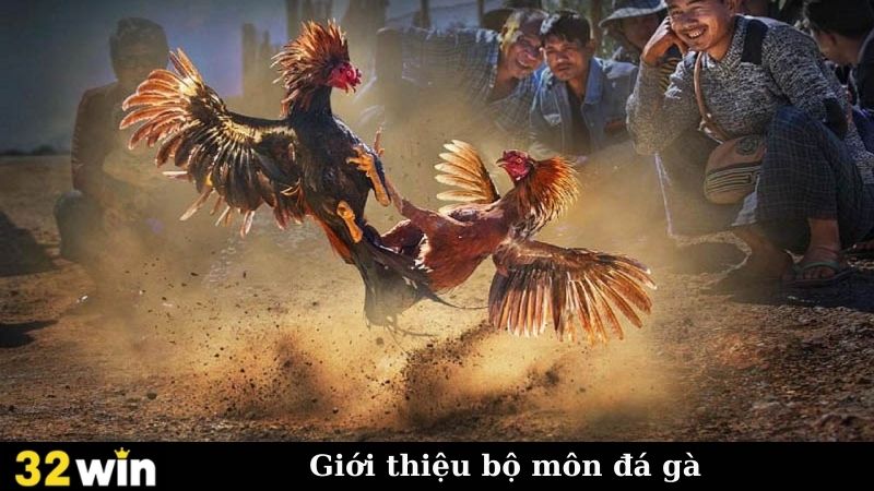 Giới thiệu bộ môn đá gà