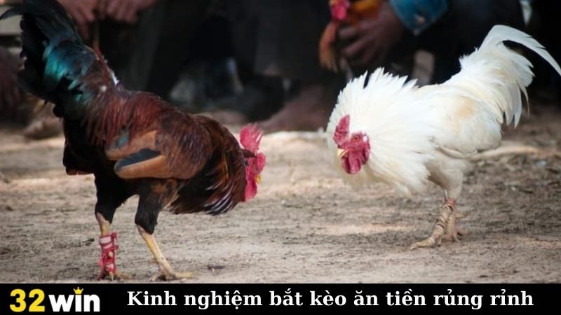 Kinh nghiệm bắt kèo ăn tiền rủng rỉnh