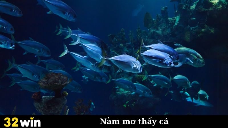 Nằm Mơ Thấy Cá - Chìa Khóa Mở Ra Những Điều Bất Ngờ?
