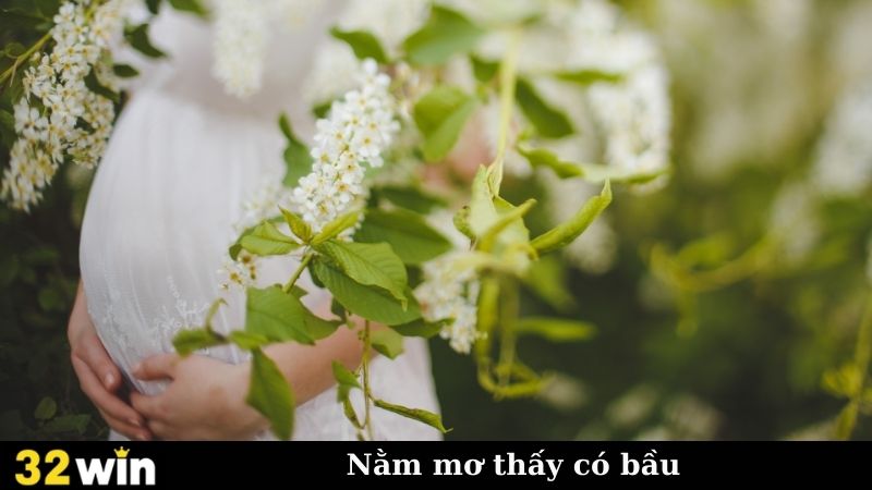 Nằm Mơ Thấy Có Bầu? Xem NGAY Để Biết Điềm Báo Cho Bạn!